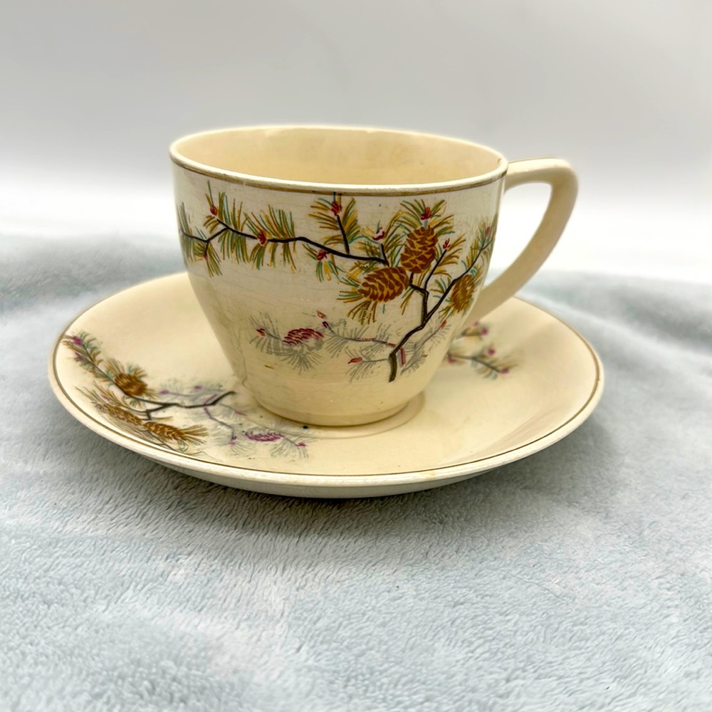 Vintage Pinecone Cup & Saucer with Gold Trim-Stamped Japan on Bottom